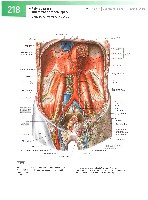 Sobotta  Atlas of Human Anatomy  Trunk, Viscera,Lower Limb Volume2 2006, page 225